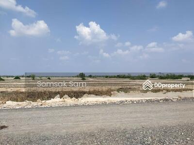 ขาย - ขายที่ดินเปล่า เนื้อที่ 19 ไร่ อ.ด่านขุนทด จ.นครราชสีมา, นครราชสีมา