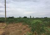 ขายที่ดินเปล่า  ต.เขาหินซ้อน อ.พนมสารคาม จ.ฉะเชิงเทรา - DDproperty.com