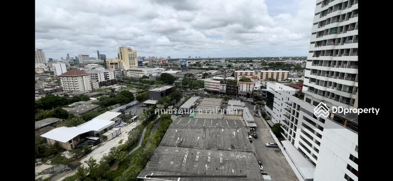 Oka Haus Sukhumvit 36, Bangkok, 3399 Rama 4 Road, Khong Tan, Khlong Toei, Bangkok, 1 Bedroom, 35 sqm, Condo For Sale, by ธีรดนย์ ชาวปากน้ำ, 8718239 - DDproperty.com