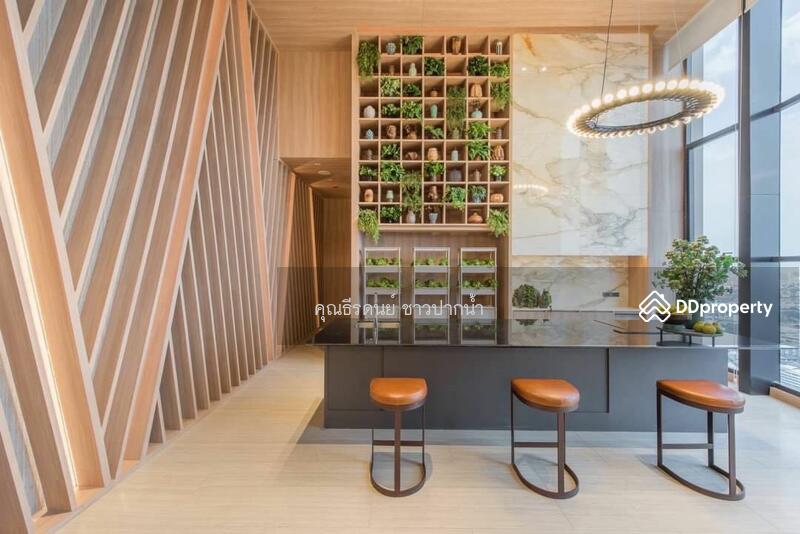 Oka Haus Sukhumvit 36, Bangkok, 3399 Rama 4 Road, Khong Tan, Khlong Toei, Bangkok, 1 Bedroom, 35 sqm, Condo For Sale, by ธีรดนย์ ชาวปากน้ำ, 8718239 - DDproperty.com