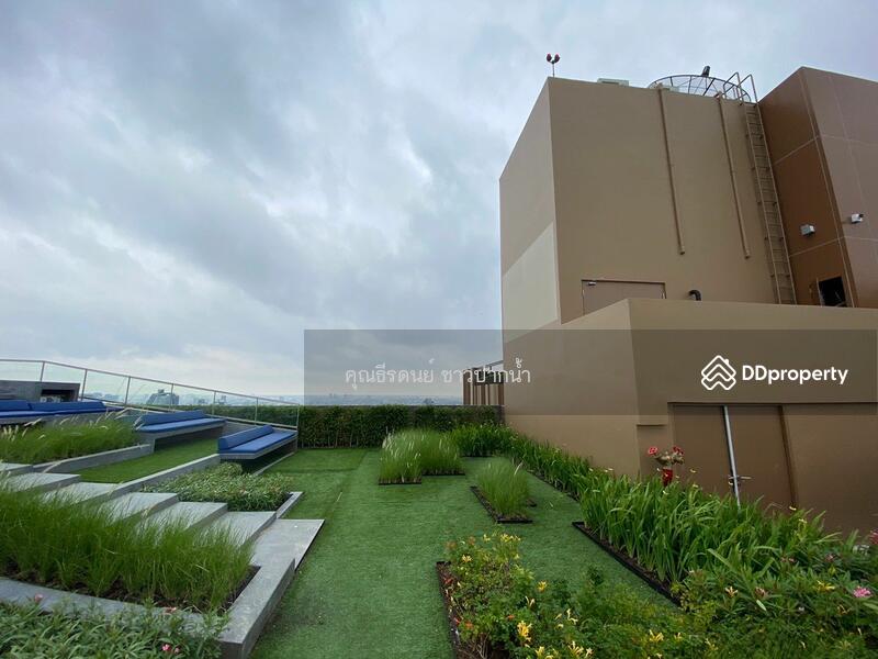 Oka Haus Sukhumvit 36 : โอกะ เฮ้าส์ สุขุมวิท 36, กรุงเทพ, 3399 ถนนพระรามที่ ๔, คลองตัน, คลองเตย, กรุงเทพ, 35 ตร.ม., คอนโด ขาย, โดย ธีรดนย์ ชาวปากน้ำ, 8718239 - DDproperty.com