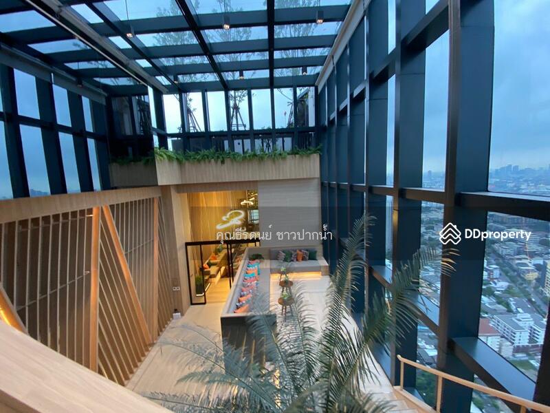 Oka Haus Sukhumvit 36, Bangkok, 3399 Rama 4 Road, Khong Tan, Khlong Toei, Bangkok, 1 Bedroom, 35 sqm, Condo For Sale, by ธีรดนย์ ชาวปากน้ำ, 8718239 - DDproperty.com