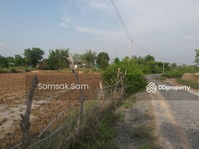 ขาย - ขายที่ดินเปล่า ต.สระจรเข้ อ.ด่านขุนทด จ.นครราชสีมา 24 ไร่, นครราชสีมา