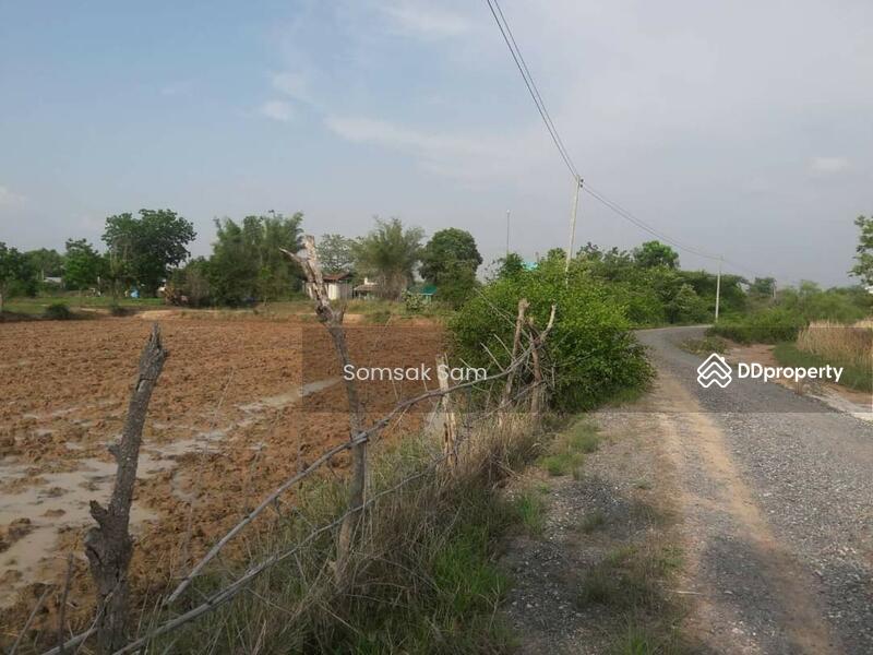 For Sale - ขายที่ดินเปล่า ต.สระจรเข้ อ.ด่านขุนทด จ.นครราชสีมา 24 ไร่, Nakhon Ratchasima