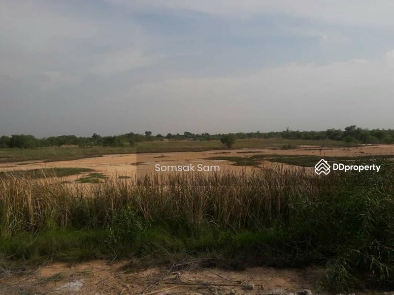 For Sale - ขายที่ดินเปล่า ต.สระจรเข้ อ.ด่านขุนทด จ.นครราชสีมา 24 ไร่, Nakhon Ratchasima