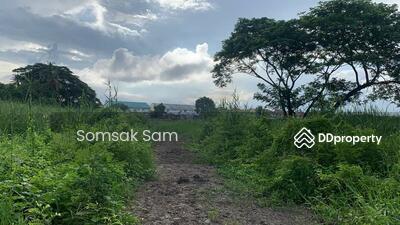 ขาย - ขายที่ดินสามพราน ซ. 12 จ.นครปฐม (302 ตรว.), นครปฐม