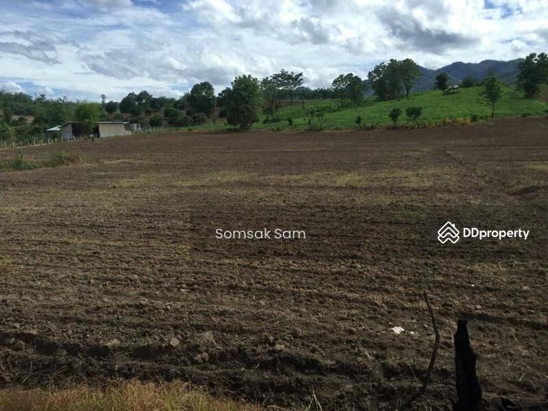 For Sale - Land for sale, Thung Yao Subdistrict, Pai District, Mae Hong Son Province, area 4-2-67 rai., Mae Hong Son