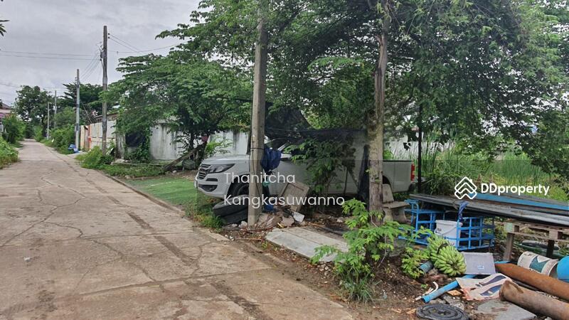 ขาย - ที่ดินพุทธมณฑลสาย3, กรุงเทพ