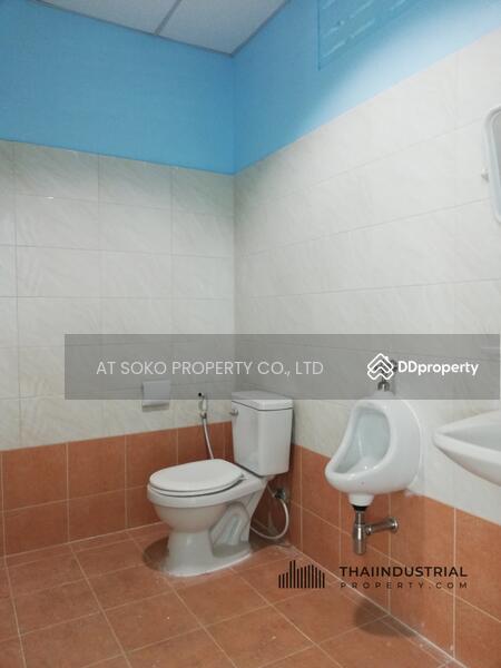 Factory or Warehouse 870 sqm for RENT at Mueang Samut Prakan, Samut Prakan (ID: AT144R), Samut Prakan, Phreak Sa Mai, Muang Samut Prakarn, Samut Prakan, , 870 sqm, Warehouse/Factory For Rent, by AT SOKO PROPERTY CO., LTD, 8723105 - DDproperty.com