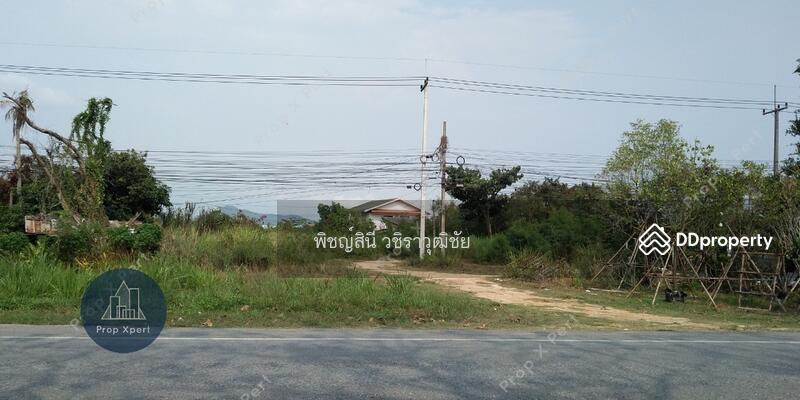 3-2-94 ไร่ ติดถนน331หน้ากว้างประมาณ37ม.