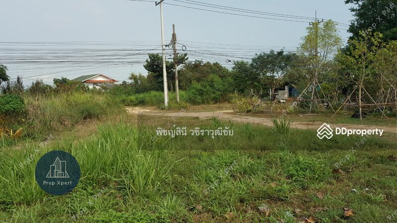 3-2-94 ไร่