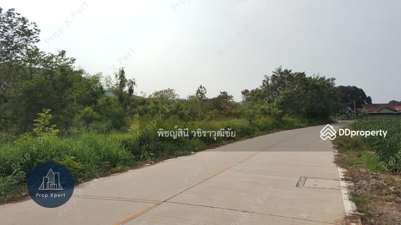 ด้านหลังติดถนนซอยพลูตาหลวง19