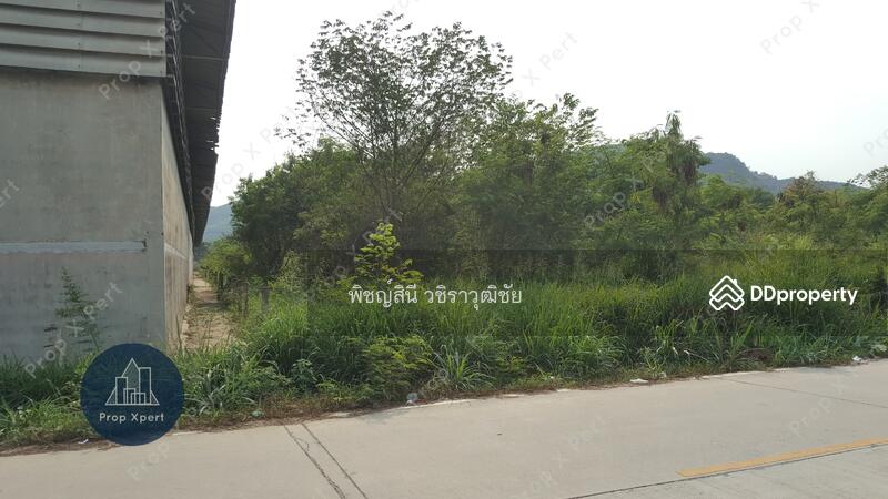 5-1-63 ไร่ ติดโกดัง ถ่ายจากซอยพลูตาหลวง19