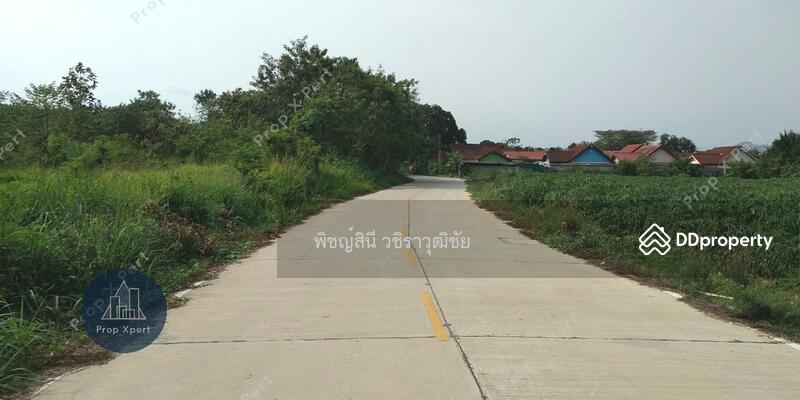 ถนนซอยพลูตาหลวง19