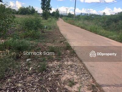 ขาย - ขายที่ดิน ต.หนองกี่ อ.กบินทร์บุรี จ.ปราจีนบุรี, ปราจีนบุรี