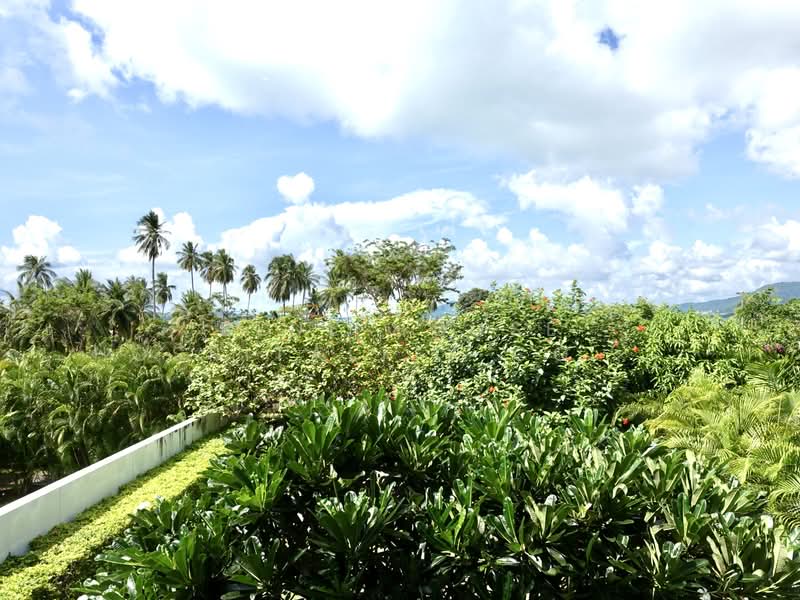 Baan Yamu Residences : บ้านยามู เรสซิเด้นท์, ภูเก็ต, 171/7 แหลมยามู, ป่าคลอก, ถลาง, ภูเก็ต, 226 ตร.ม., ทาวน์เฮ้าส์ ขาย, โดย Khun Javed, 8737075 - DDproperty.com