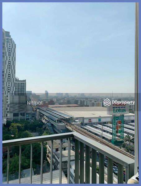 Q House Sukhumvit 79 : คิวเฮาส์ สุขุมวิท 79, กรุงเทพ, 2059 ถนนสุขุมวิท, พระโขนงเหนือ, วัฒนา, กรุงเทพ, 42 ตร.ม., คอนโด ให้เช่า, โดย Ti Nitipat, 8747912 - DDproperty.com