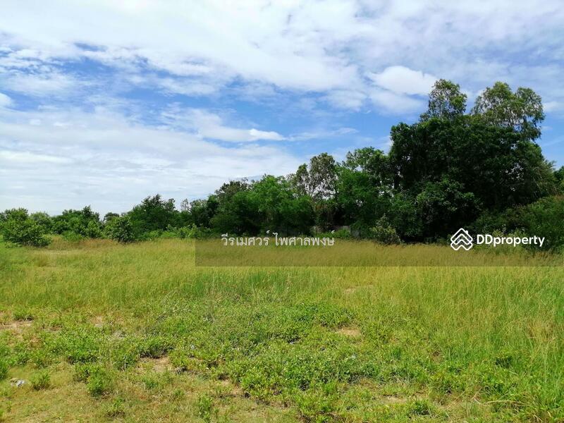 ขายถูก!! ที่ดินอำเภอเมืองนครปฐม (ฝั่งตรงข้าม ม.ศิลปากร) 16-2-83 ไร่ ที่ดินถมแล้ว 