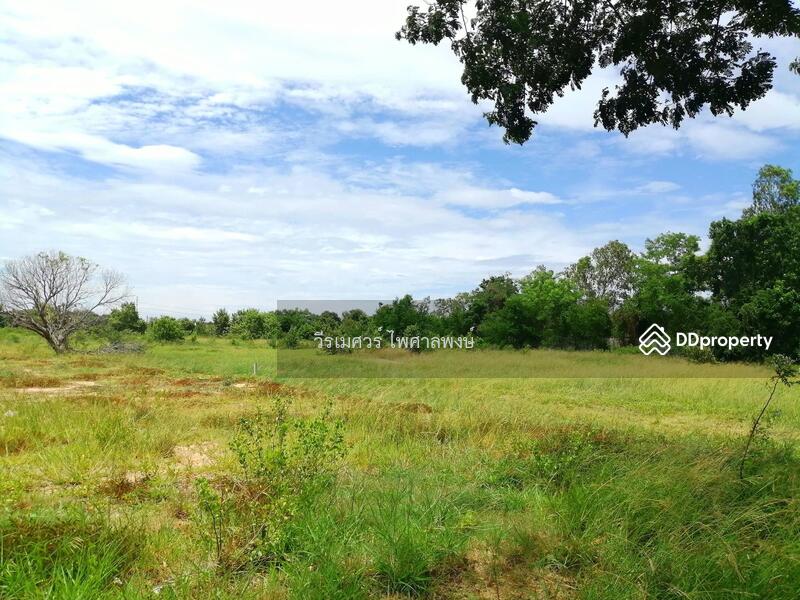 ขายถูก!! ที่ดินอำเภอเมืองนครปฐม (ฝั่งตรงข้าม ม.ศิลปากร) 16-2-83 ไร่ ที่ดินถมแล้ว 