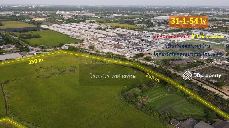 ขายที่ดิน พุทธมณฑลสาย 5 ต.บางเตย จ.นครปฐม ( ใกล้ ม.มหิดล + ใกล้ Central ศาลายา ) 31-1-54 ไร่ 