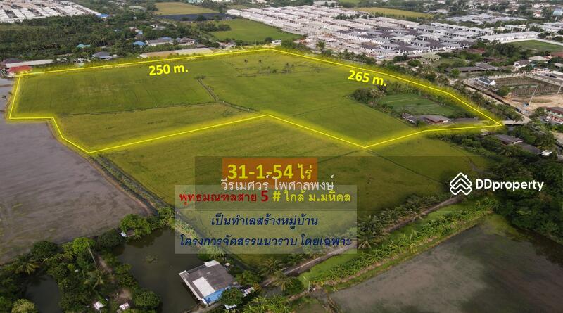 ขายที่ดิน พุทธมณฑลสาย 5 ต.บางเตย จ.นครปฐม ( ใกล้ ม.มหิดล + ใกล้ Central ศาลายา ) 31-1-54 ไร่ 