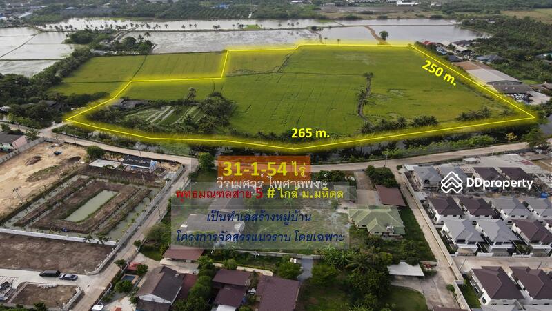 ขายที่ดิน พุทธมณฑลสาย 5 ต.บางเตย จ.นครปฐม ( ใกล้ ม.มหิดล + ใกล้ Central ศาลายา ) 31-1-54 ไร่ 