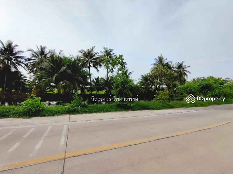 ขายที่ดิน พุทธมณฑลสาย 5 ต.บางเตย จ.นครปฐม ( ใกล้ ม.มหิดล + ใกล้ Central ศาลายา ) 31-1-54 ไร่ 