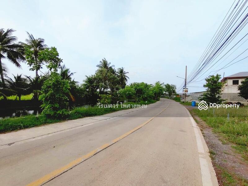 ขายที่ดิน พุทธมณฑลสาย 5 ต.บางเตย จ.นครปฐม ( ใกล้ ม.มหิดล + ใกล้ Central ศาลายา ) 31-1-54 ไร่ 