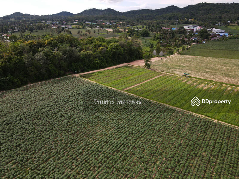 ขายที่ดิน อ.บางละมุง จ.ชลบุรี เส้น331 (ติดถนน 331 #ขยายถนนกว้าง 10 เลน ใหญ่มาก) 44-3-12 ไร่