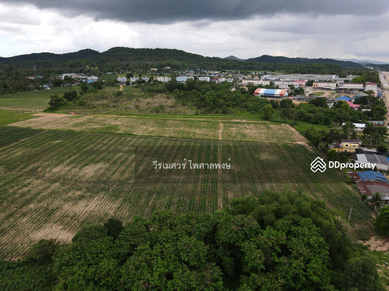 ขายที่ดิน อ.บางละมุง จ.ชลบุรี เส้น331 (ติดถนน 331 #ขยายถนนกว้าง 10 เลน ใหญ่มาก) 44-3-12 ไร่