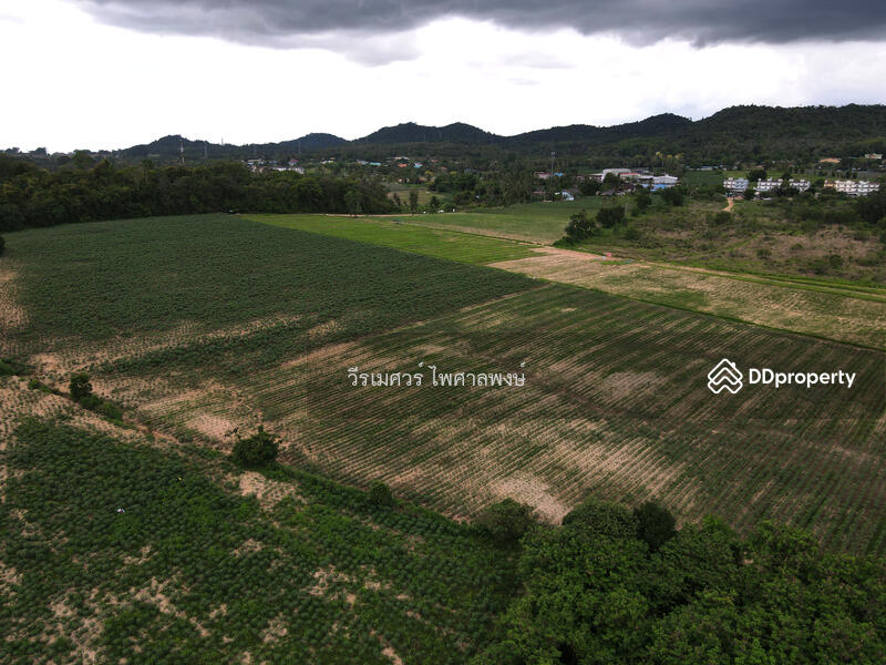 ขายที่ดิน อ.บางละมุง จ.ชลบุรี เส้น331 (ติดถนน 331 #ขยายถนนกว้าง 10 เลน ใหญ่มาก) 44-3-12 ไร่