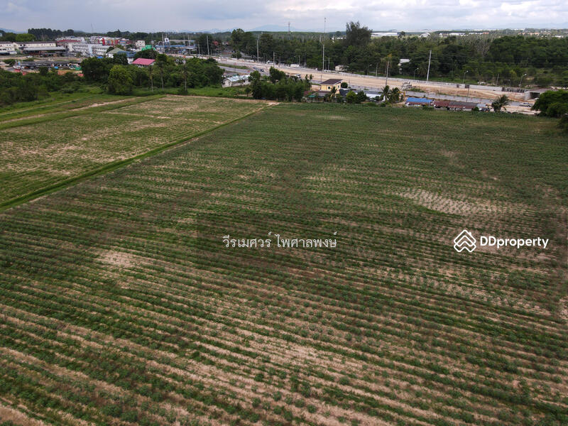 ขายที่ดิน อ.บางละมุง จ.ชลบุรี เส้น331 (ติดถนน 331 #ขยายถนนกว้าง 10 เลน ใหญ่มาก) 44-3-12 ไร่