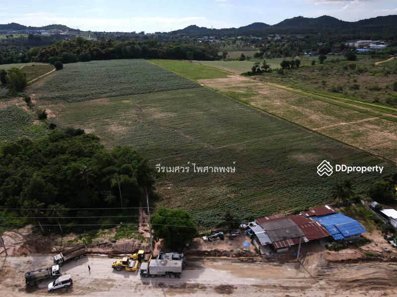 ขายที่ดิน อ.บางละมุง จ.ชลบุรี เส้น331 (ติดถนน 331 #ขยายถนนกว้าง 10 เลน ใหญ่มาก) 44-3-12 ไร่