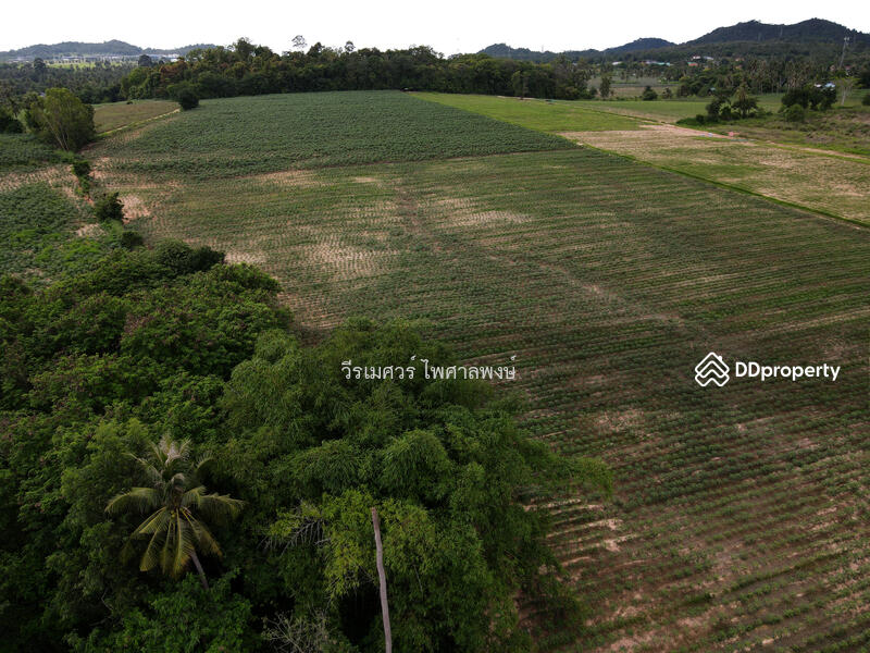 ขายที่ดิน อ.บางละมุง จ.ชลบุรี เส้น331 (ติดถนน 331 #ขยายถนนกว้าง 10 เลน ใหญ่มาก) 44-3-12 ไร่