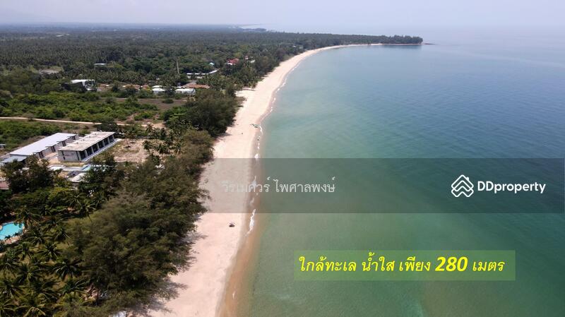 ขายที่ดิน อำเภอทับสะแก ประจวบคีรีขันธ์ (ใกล้ทะเลใส 280 m.) 3-2-9 ไร่ เหมาะสร้างบ้านพักตากอากาศ