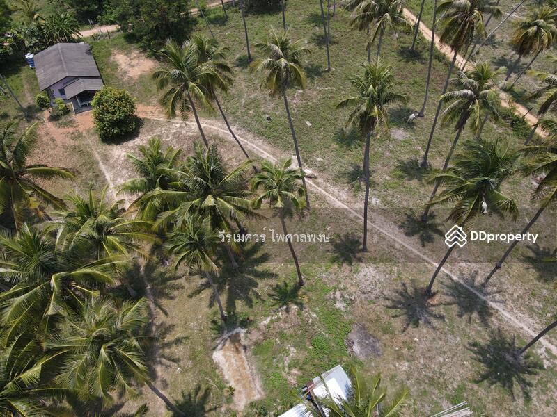 ขายที่ดิน อำเภอทับสะแก ประจวบคีรีขันธ์ (ใกล้ทะเลใส 280 m.) 3-2-9 ไร่ เหมาะสร้างบ้านพักตากอากาศ