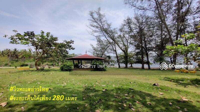 ขายที่ดิน อำเภอทับสะแก ประจวบคีรีขันธ์ (ใกล้ทะเลใส 280 m.) 3-2-9 ไร่ เหมาะสร้างบ้านพักตากอากาศ