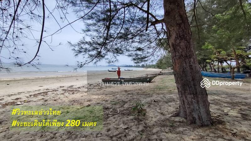 ขายที่ดิน อำเภอทับสะแก ประจวบคีรีขันธ์ (ใกล้ทะเลใส 280 m.) 3-2-9 ไร่ เหมาะสร้างบ้านพักตากอากาศ