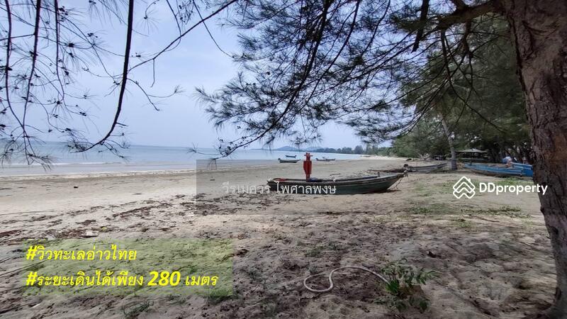 ขายที่ดิน อำเภอทับสะแก ประจวบคีรีขันธ์ (ใกล้ทะเลใส 280 m.) 3-2-9 ไร่ เหมาะสร้างบ้านพักตากอากาศ