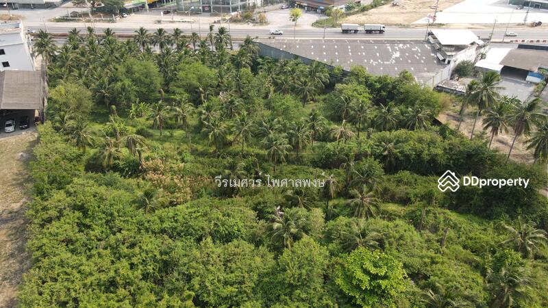 ขายที่ดิน ต.ธรรมศาลา อ.เมืองนครปฐม # ติดถนนเพชรเกษม กว้าง 8 เลน (เหมาะทำการค้า) 5-3-67 ไร่