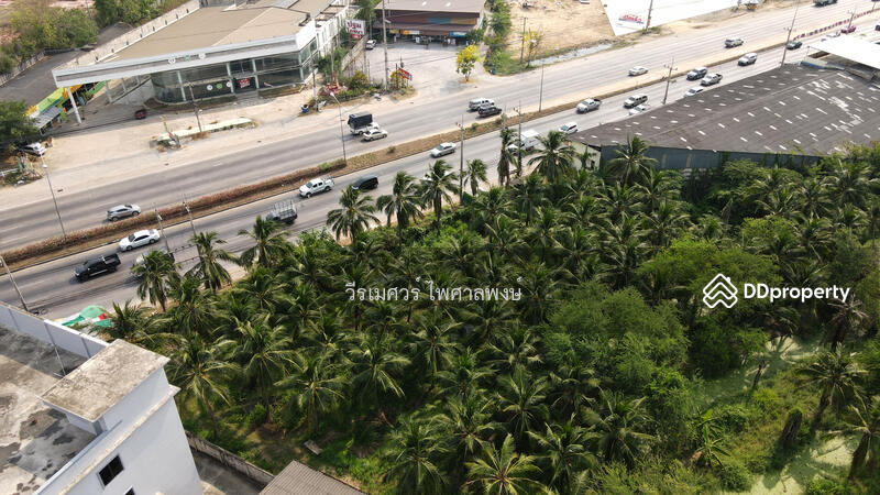 ขายที่ดิน ต.ธรรมศาลา อ.เมืองนครปฐม # ติดถนนเพชรเกษม กว้าง 8 เลน (เหมาะทำการค้า) 5-3-67 ไร่