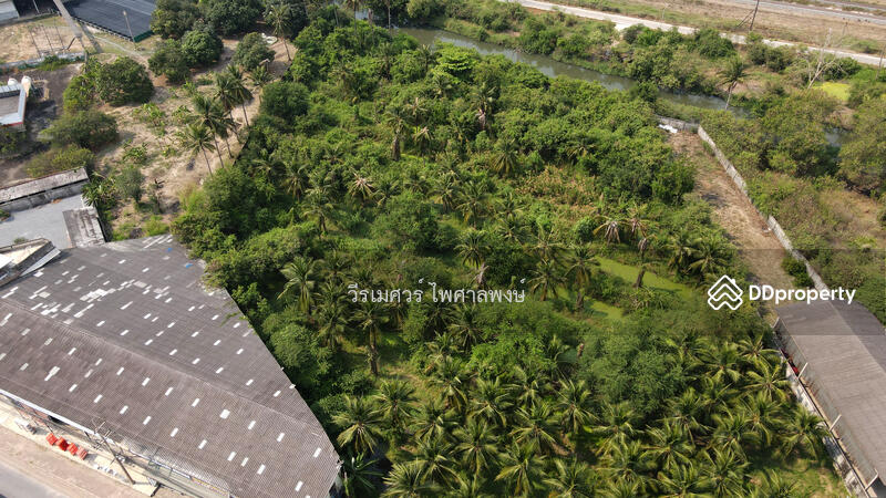ขายที่ดิน ต.ธรรมศาลา อ.เมืองนครปฐม # ติดถนนเพชรเกษม กว้าง 8 เลน (เหมาะทำการค้า) 5-3-67 ไร่