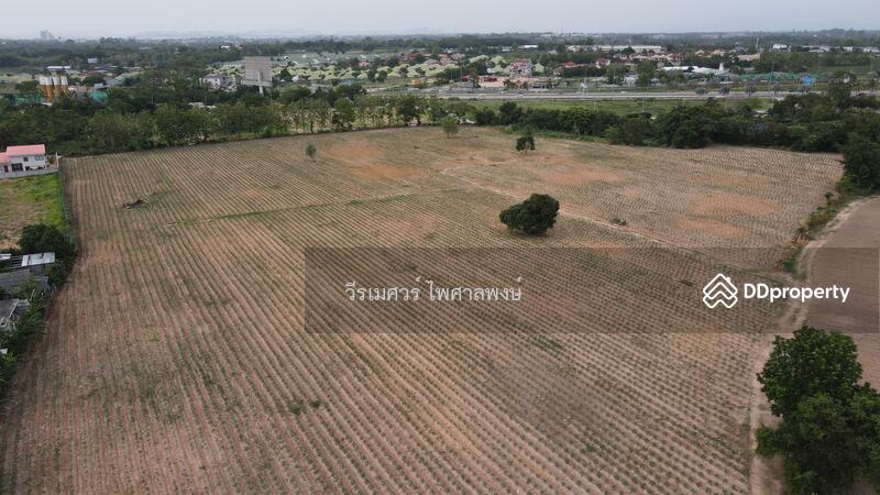 ขายที่ดิน ใกล้หาดพัทยา #เลียบถนน Motorway อ.บางละมุง จ.ชลบุรี (เหมาะสร้างหมู่บ้านจัดสรร) 13-0-96 ไร่