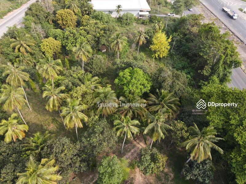 ขายที่ดิน อำเภอปรานบุรี ประจวบคีรีขันธ์ ( ติดถนนเพชรเกษม กว้าง 6 เลน ) 5-3-0 ไร่ 