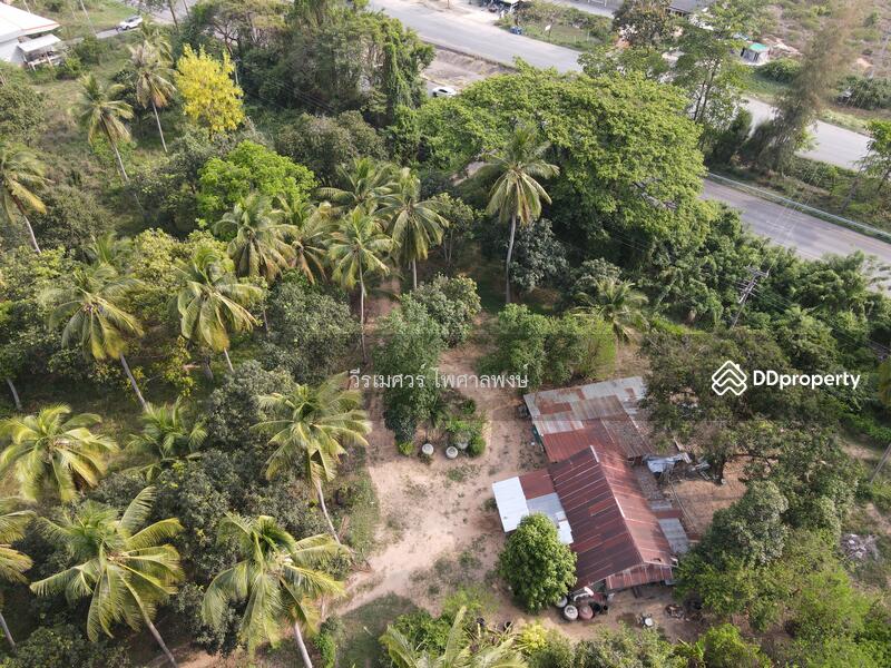 ขายที่ดิน อำเภอปรานบุรี ประจวบคีรีขันธ์ ( ติดถนนเพชรเกษม กว้าง 6 เลน ) 5-3-0 ไร่ 