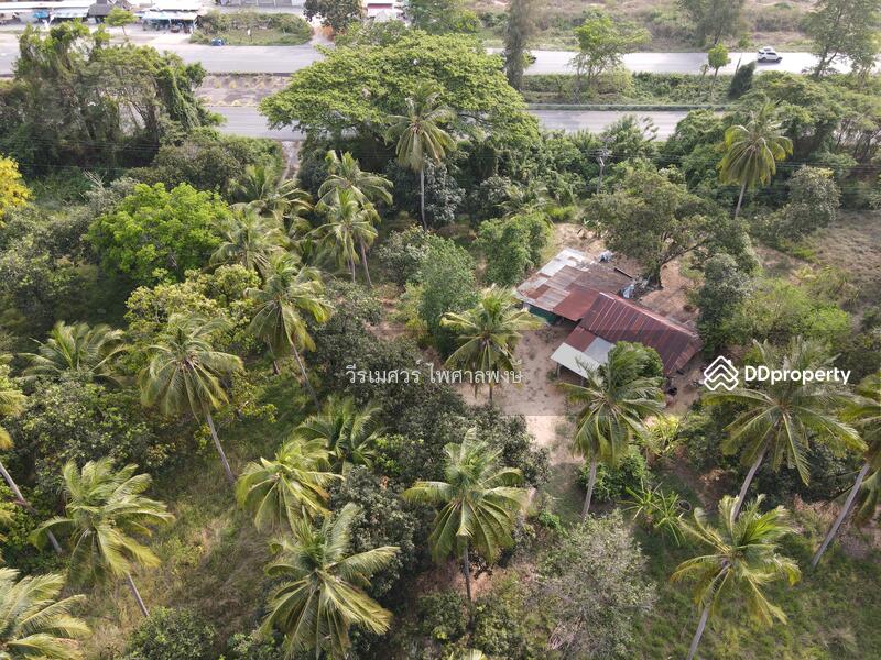 ขายที่ดิน อำเภอปรานบุรี ประจวบคีรีขันธ์ ( ติดถนนเพชรเกษม กว้าง 6 เลน ) 5-3-0 ไร่ 