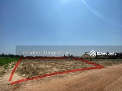 ขาย - ขายที่ดิน 5 ไร่ ต.วังบัว อ.คลองขลุง จ.กำแพงเพชร, กำแพงเพชร