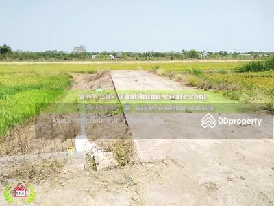 ขาย - ขาย ที่ดิน 200 ตารางวา ลำลูกกา ปทุมธานี