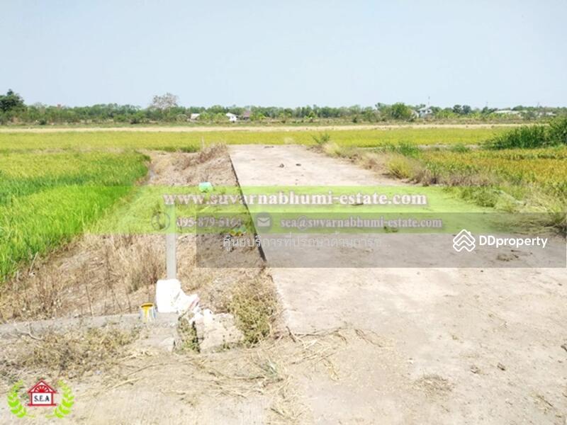 ขาย - ขาย ที่ดิน 200 ตารางวา ลำลูกกา ปทุมธานี