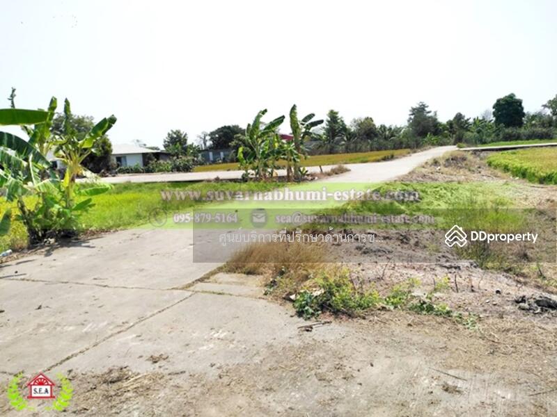 ขาย - ขาย ที่ดิน 200 ตารางวา ลำลูกกา ปทุมธานี